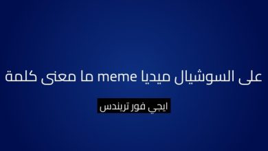 ما معنى كلمة meme على السوشيال ميديا